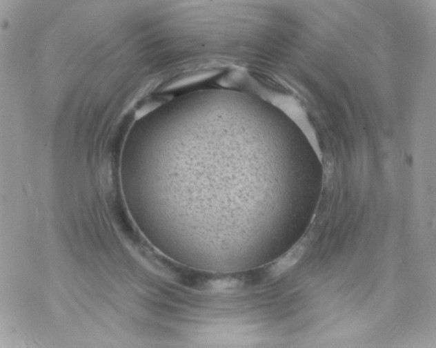 X0000070880158200607071956