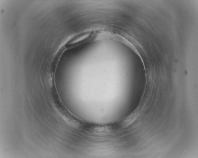 X0000070880160200607071956