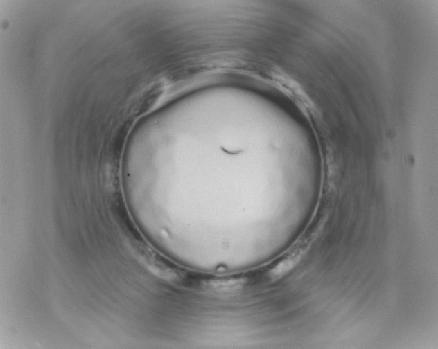 X0000070880161200607071956