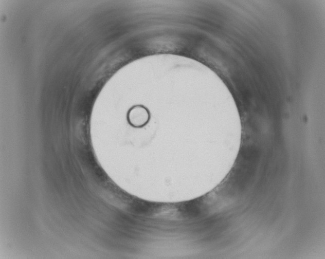 X0000070880162200607071956