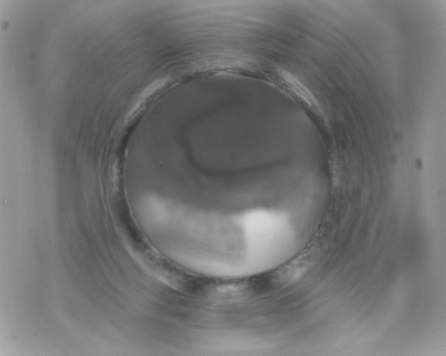 X0000070880163200607071956