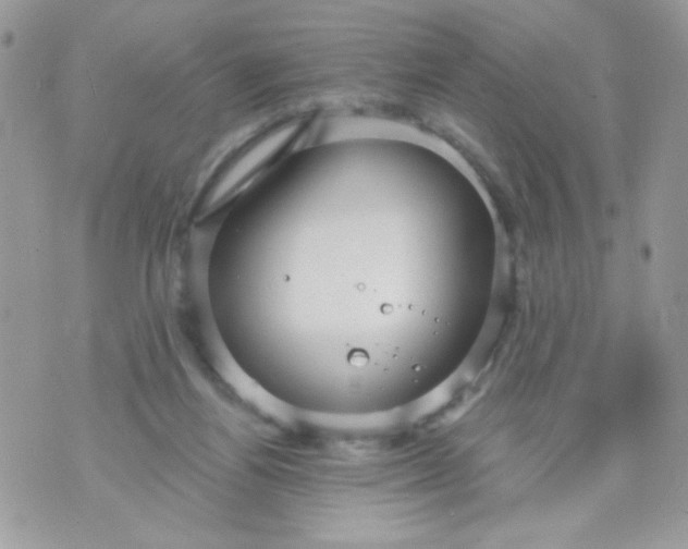 X0000070880164200607071956