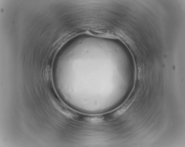 X0000070880165200607071956