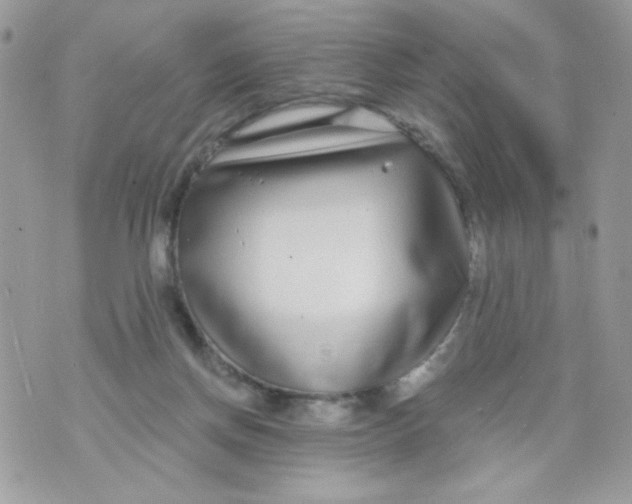 X0000070880166200607071957