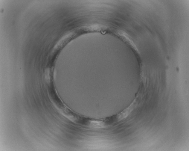 X0000070880167200607071957