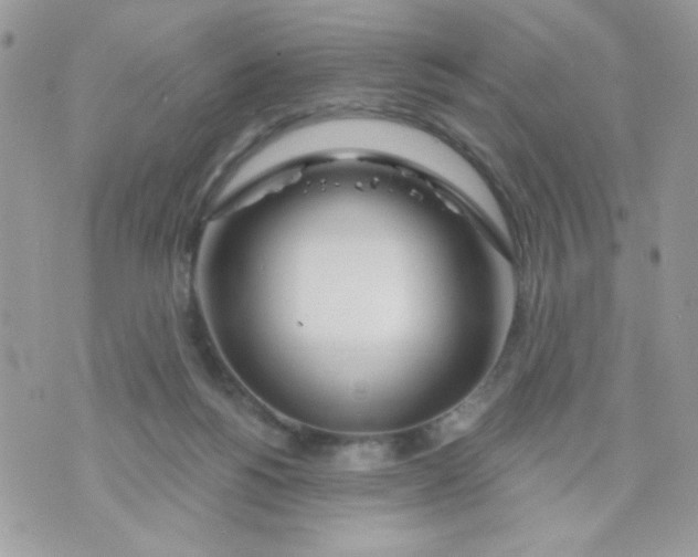 X0000070880168200607071957