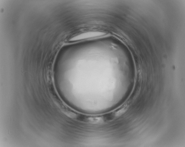 X0000070880169200607071957