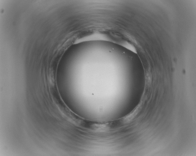 X0000070880170200607071957