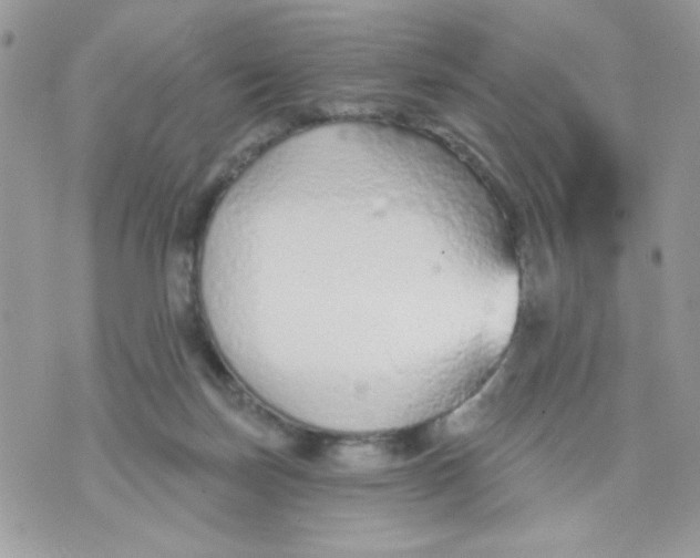 X0000070880171200607071957