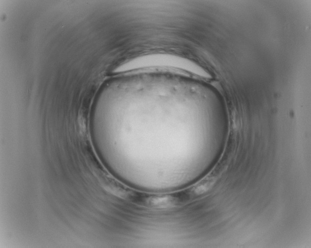 X0000070880173200607071957