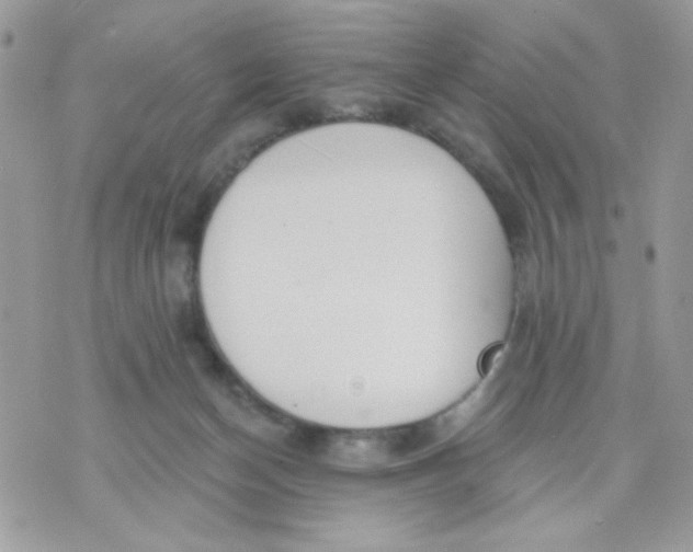 X0000070880174200607071957