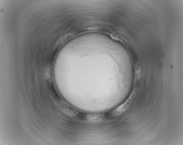 X0000070880175200607071957