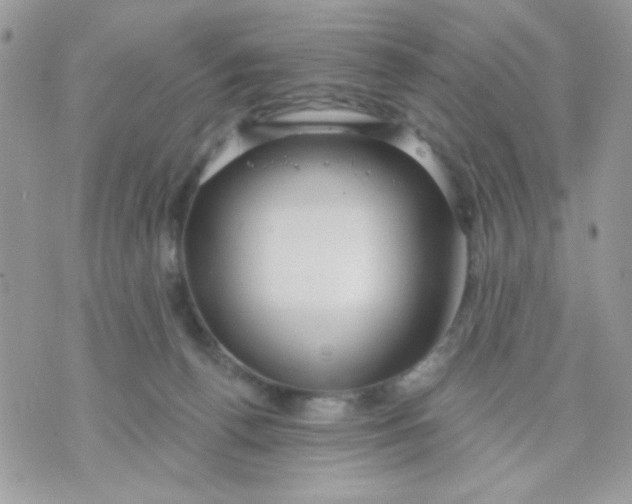 X0000070880176200607071957