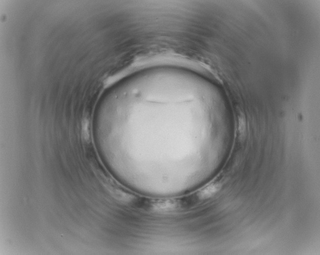 X0000070880177200607071957