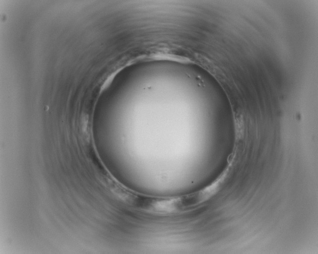 X0000070880178200607071957