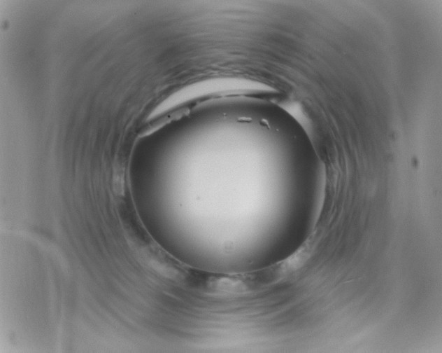 X0000070880180200607071957