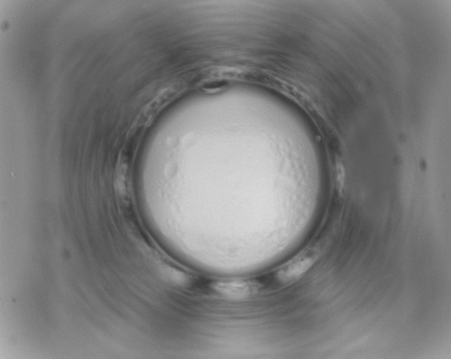 X0000070880181200607071957