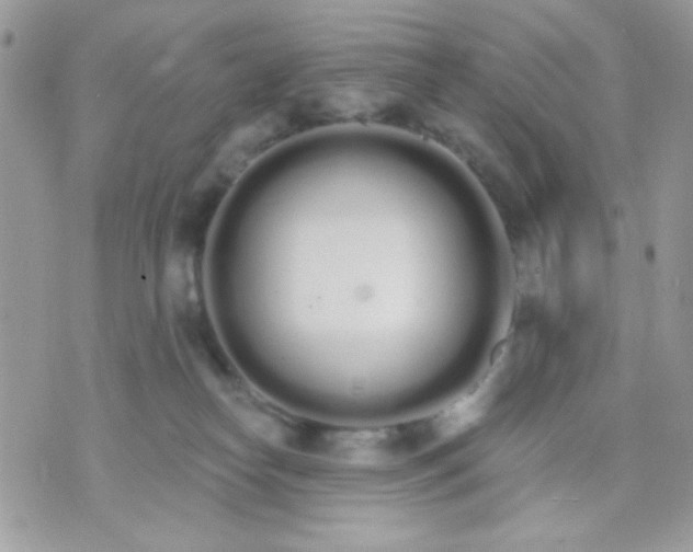 X0000070880182200607071957