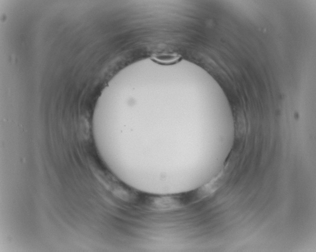 X0000070880183200607071957