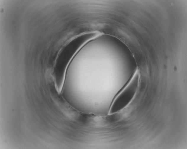 X0000070880184200607071957