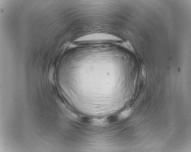 X0000070880185200607071957