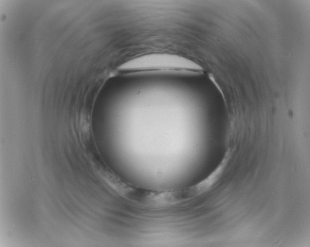 X0000070880186200607071957