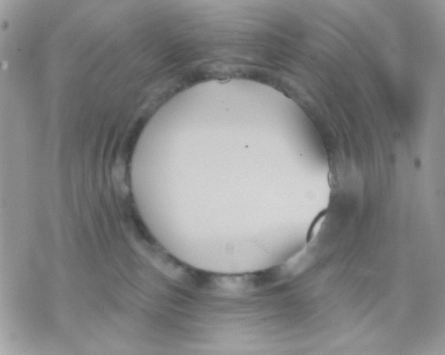 X0000070880187200607071957