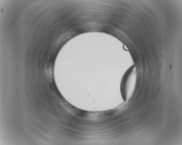 X0000070880190200607071957