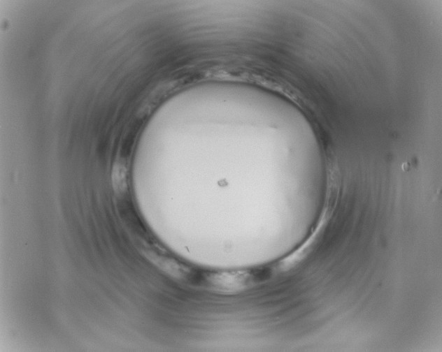 X0000070880191200607071957