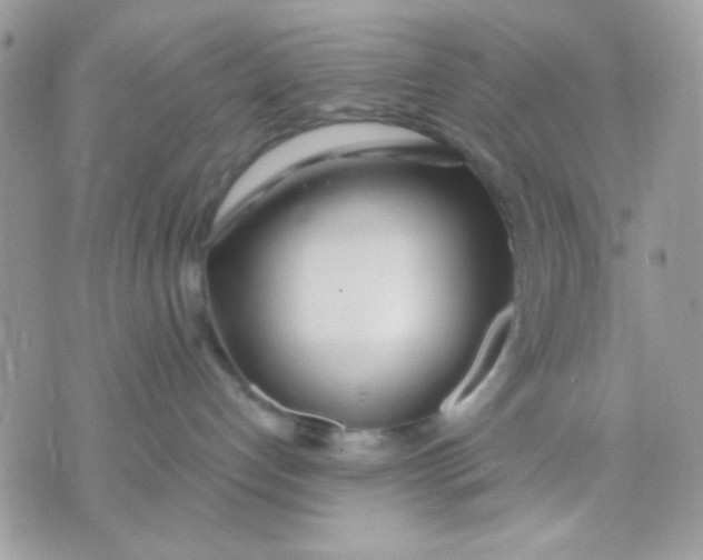 X0000070880192200607071957