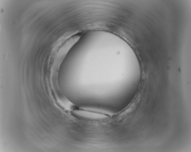 X0000070880193200607071956