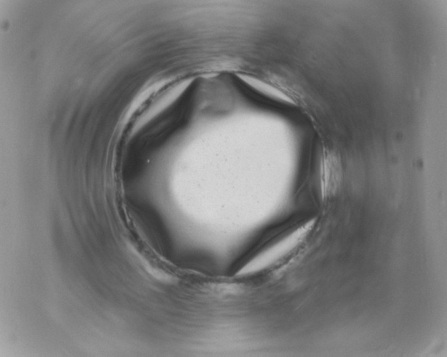 X0000070880195200607071956