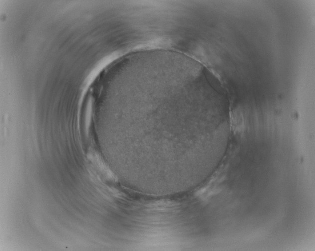 X0000070880196200607071956