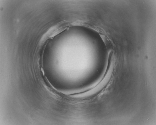 X0000070880197200607071956