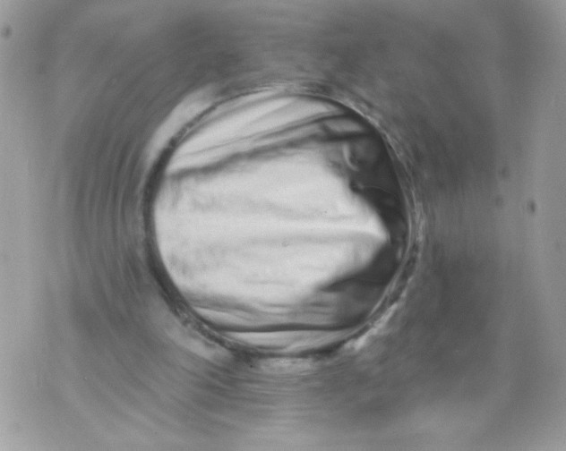 X0000070880198200607071956