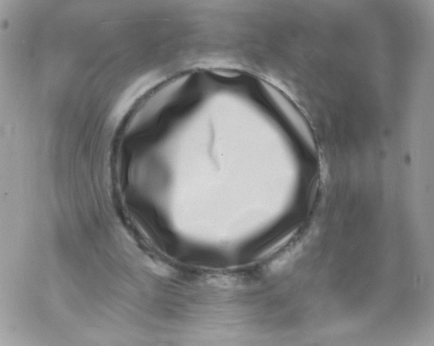 X0000070880199200607071956