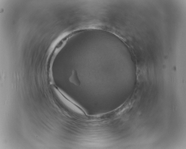 X0000070880200200607071956