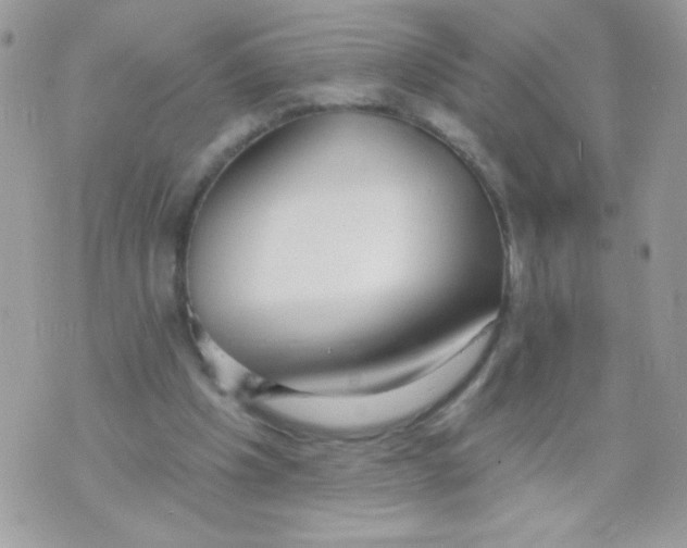 X0000070880201200607071956