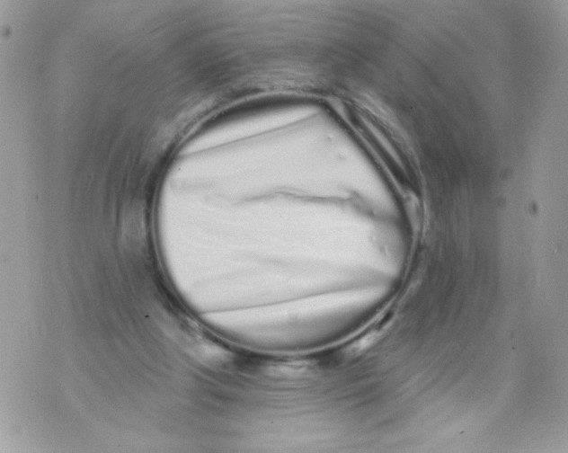 X0000070880202200607071956