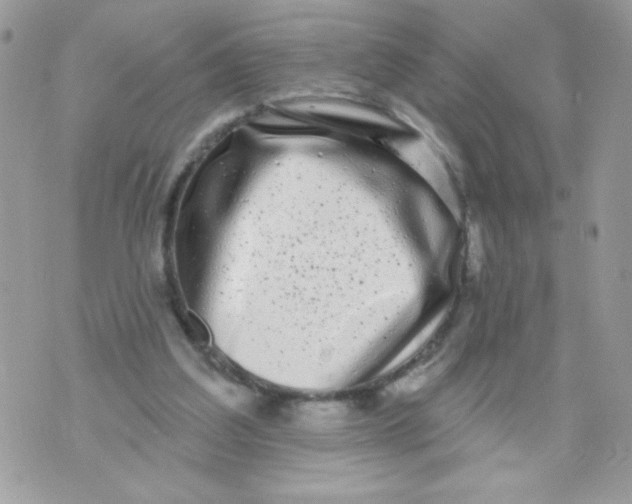 X0000070880203200607071956