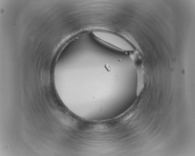 X0000070880204200607071956