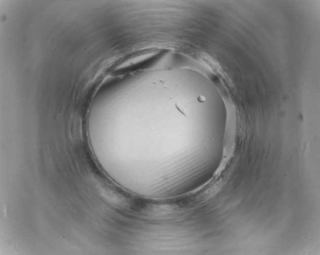 X0000070880205200607071956