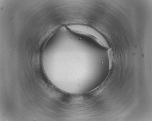 X0000070880206200607071956