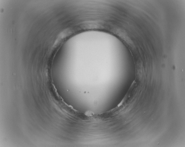 X0000070880207200607071956