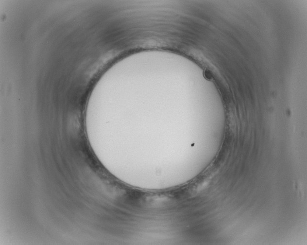 X0000070880208200607071956