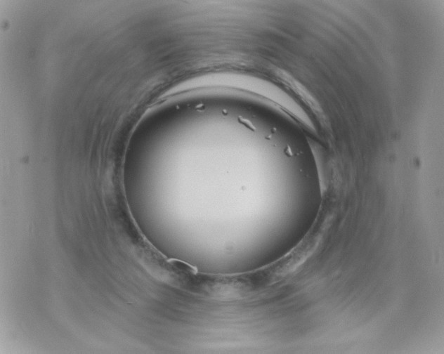 X0000070880209200607071956