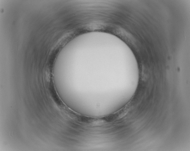 X0000070880210200607071956