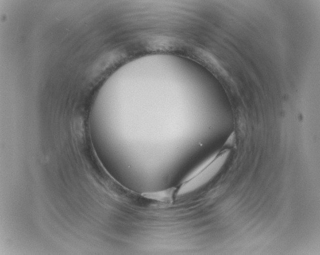 X0000070880211200607071956