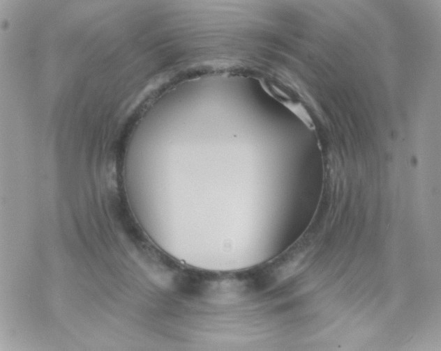 X0000070880212200607071956