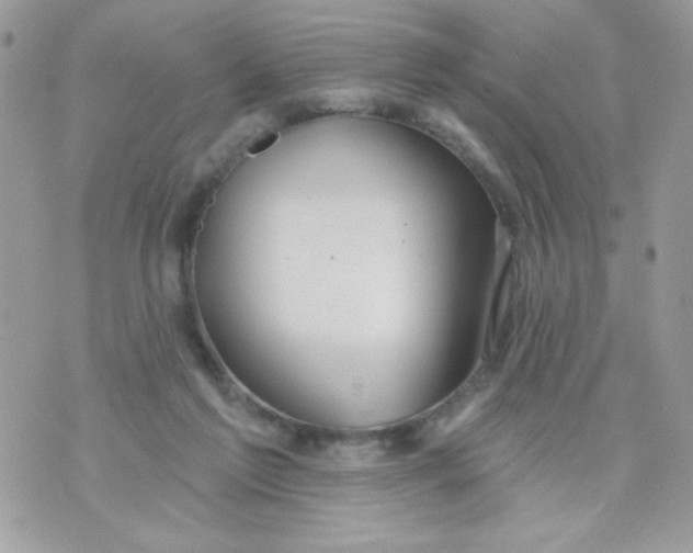 X0000070880213200607071956